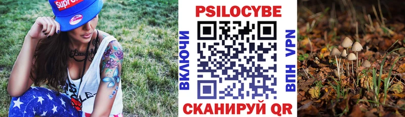 купить наркотики сайты  Ковылкино  Галлюциногенные грибы Cubensis 